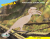 Συναρμολογούμενη Κατασκευή:HORNBILL